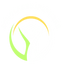 Icon for scholarshipsphere.org