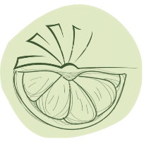 Icon for scilime.com