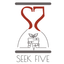 Icon for seekfive.org