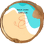 Icon for selfcarecapsule.com