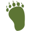 Icon for sierrafootankle.com
