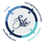 Icon for siloconstructionsa.co.za