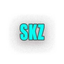 Icon for skztour.com