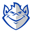 Icon for slubillikens.com