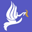 Icon for socialjusticeresourcecenter.org