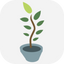 Icon for somervilleearlyed.com