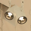 Icon for spice-spotlight.scot