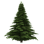 Icon for sprucelawcourse.com
