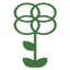 Icon for stemcadia.com