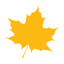 Icon for students.wlu.ca