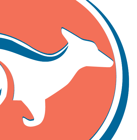 Icon for studyenglishinaustralia.com