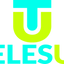 Icon for telesup.org