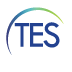 Icon for tesidea.com