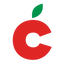 Icon for texasschoolready.org