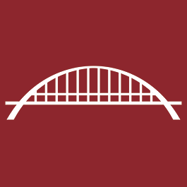 Icon for theapopkavoice.com