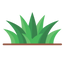 Icon for thebackyardpros.com