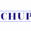 Icon for thechupitosbar.com