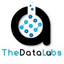 Icon for thedatalabs.org