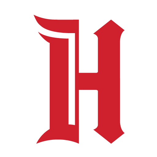 Icon for thehockeynews.com