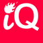Icon for theiq.pk