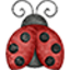 Icon for thelittleladybugshop.com