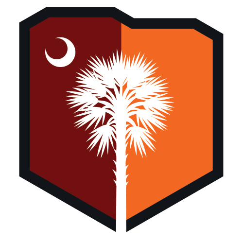 Icon for thepalmettobowl.com
