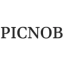 Icon for thepicnob.com