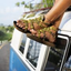Icon for theroadtripguy.com