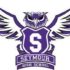 Icon for theseymourowl.com