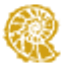 Icon for thestonecollection.com