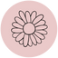 Icon for thesummerstudy.com