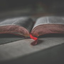 Icon for thewritingpost.com