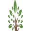 Icon for tricountymentalhealth.com
