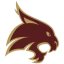 Icon for txst.com