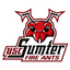 Icon for uscfireants.com