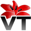 Icon for valdostatoday.com
