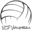 Icon for vcpvolleyball.com