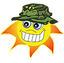 Icon for veterantintingandblinds.com