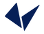 Icon for vidyakul.com