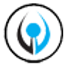 Icon for vinylvisions.com