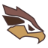 Icon for visafalcon.com