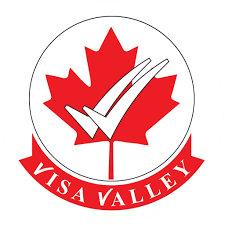 Icon for visavalley.com