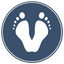 Icon for vitalpodiatry.com