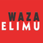 Icon for wazaelimu.net