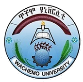 Icon for wcu.edu.et