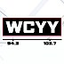 Icon for wcyy.com