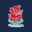Icon for wellingtoncollegebelfast.org
