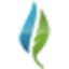 Icon for welllifefm.com