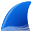 Icon for wiki.wireshark.org