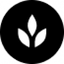 Icon for wildyards.com